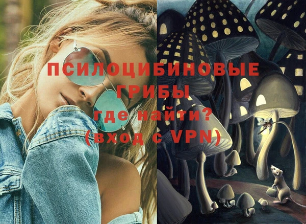 стаф Бородино