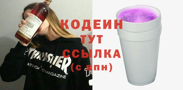 стаф Бородино