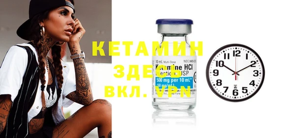 стаф Бородино