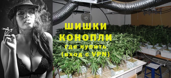 стаф Бородино