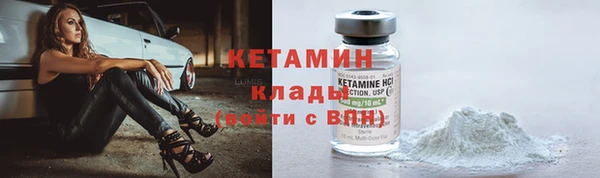 стаф Бородино
