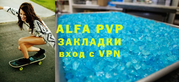 стаф Бородино