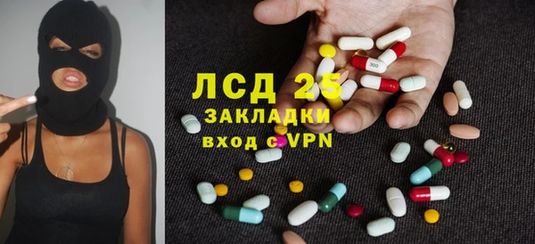 стаф Бородино