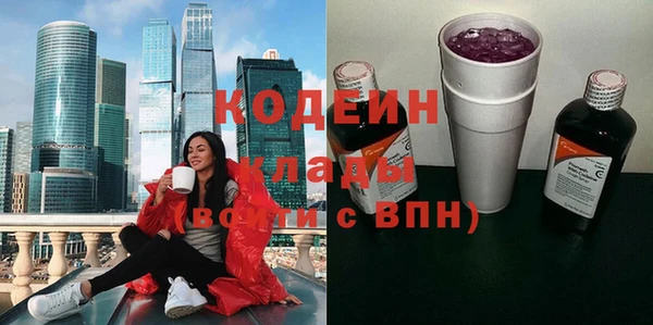 стаф Бородино