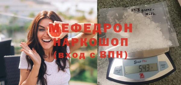 стаф Бородино
