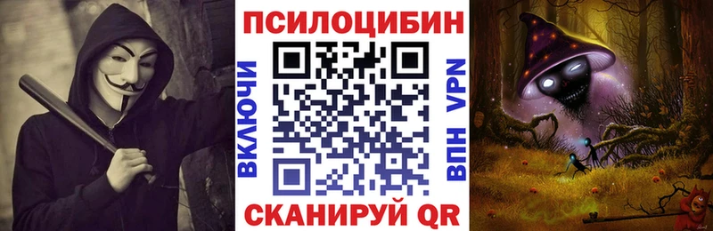Купить где  Красноперекопск  Псилоцибиновые грибы Cubensis 